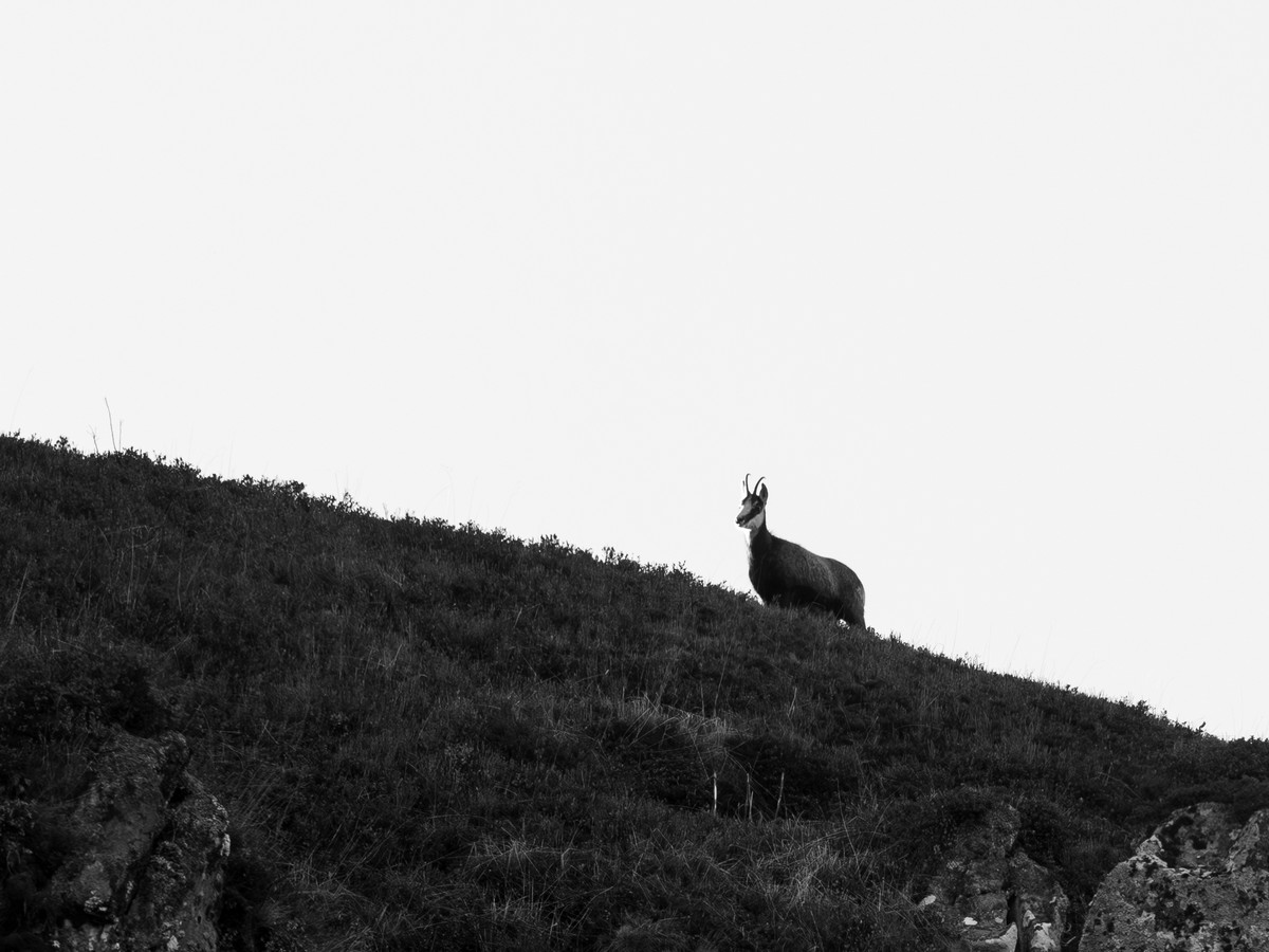 30102025-30 10 25 (1).jpg